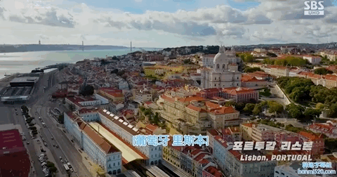 九家之书剧情，九家之书剧情分集（一起惊天腐败案浮出水面）