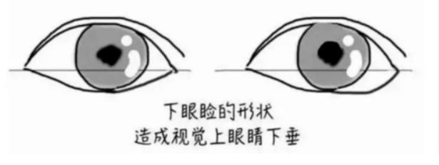 狗狗眼是下垂眼吗，教你这样画眼妆，好看又有神