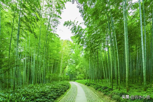 与顾章书原文及翻译，与顾章书（兴致高涨地写了一篇美文）