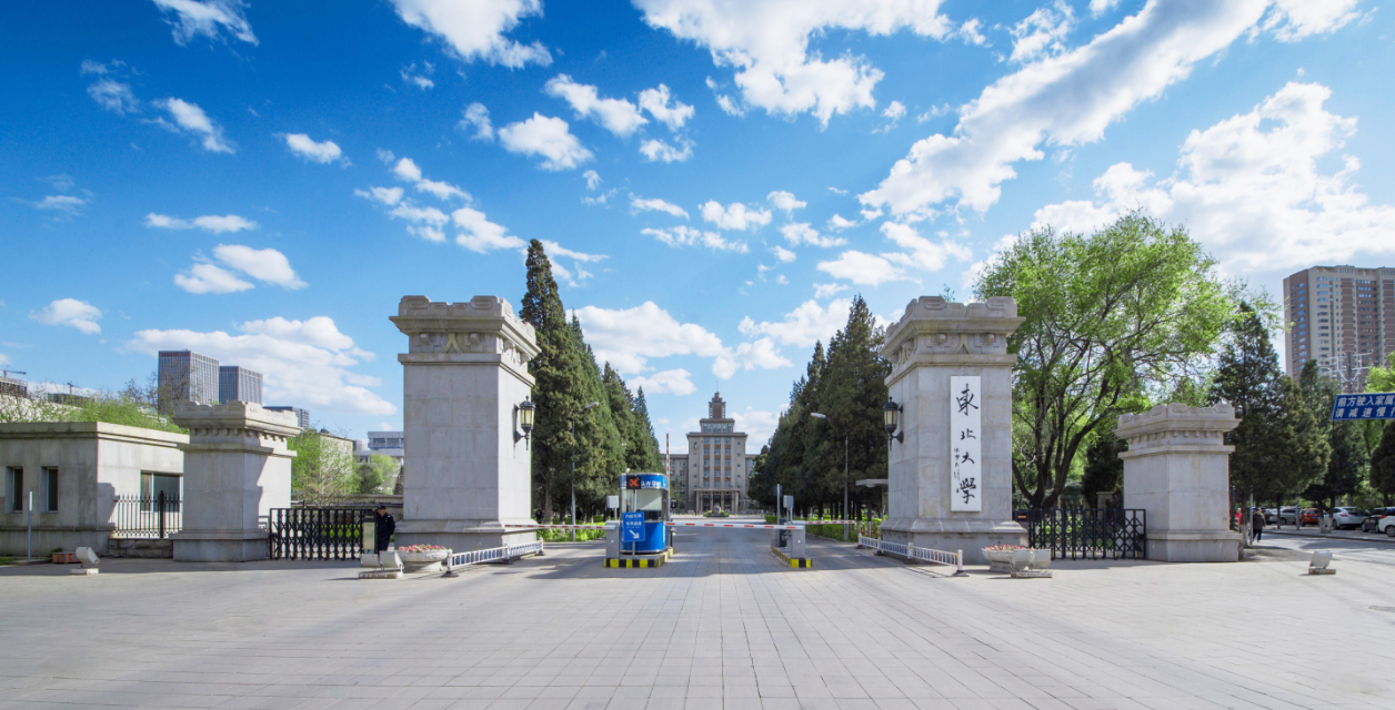 东大学校（东北大学出路还有吗）