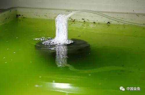 【水妖精怎么用】水妖精的原理及使用方法，水妖精原理图（灰长灰长牛逼的一个玩意）