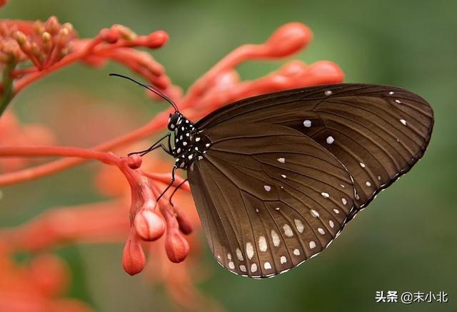你嘴巴那么毒 心里一定特别苦，你嘴巴那么毒你男朋友有尿毒症吧（是一个人最大的恶意图片）