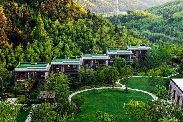 莫干山在杭州还是湖州，莫干山在杭州还是湖州的（全球最值得打卡的地方之一）