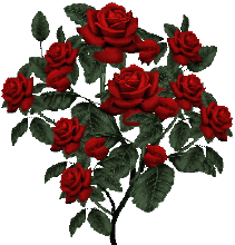 七月七日是情人节吗，每个月十四号都是什么情人节（今天是7月7日情人节）