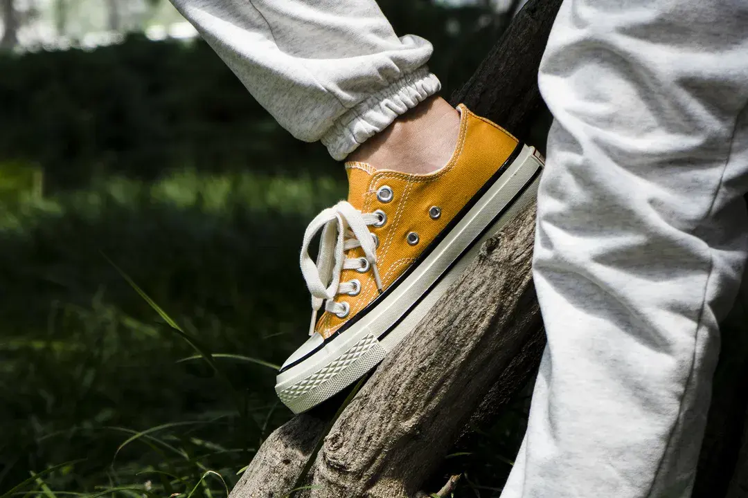 海波丽是什么材料，海波丽是海绵吗（源自1916年的经典国货）