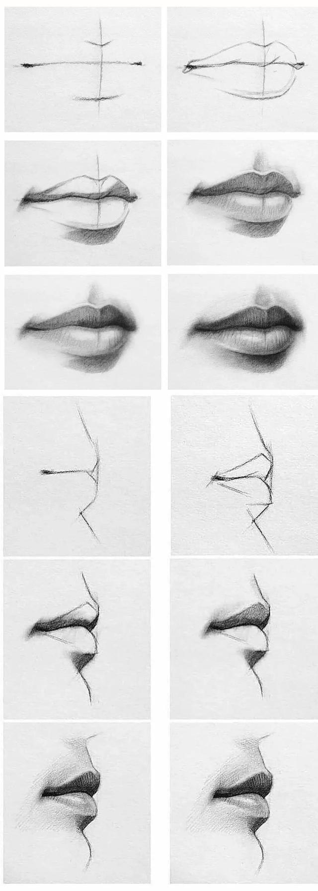 五官有哪些，人的五官准确是哪五官（动漫人物五官的详细画法）