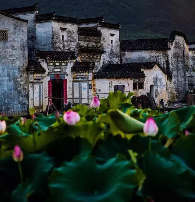 宏村在哪里，安徽宏村在哪里（宏村、西递等旅游景区恢复开放）