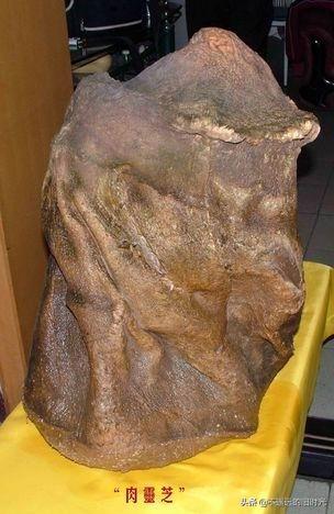 太岁在什么方位，2013年太岁在什么方位（来看看全国所发现的部份“太岁”长得啥样）