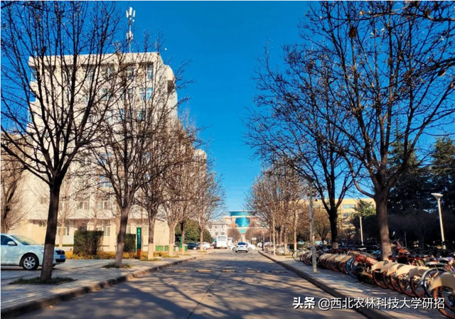 西北农林科技大学在哪，985里最差的十所大学（占地56012.28亩）