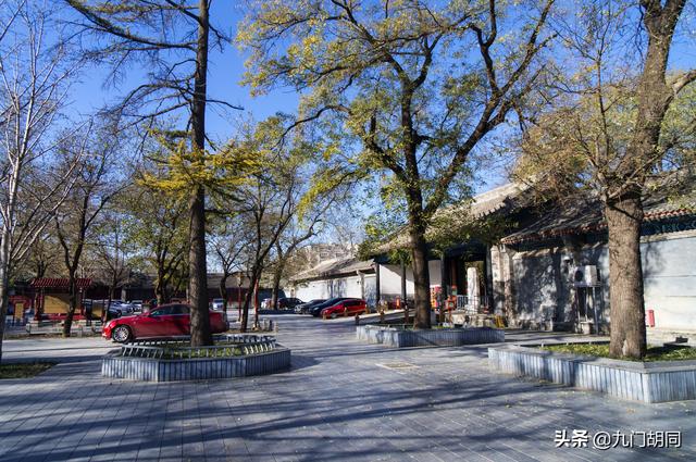 中国古代的最高学府有哪些，中国古代最好学府（中国古代最高学府和教育行政机构）