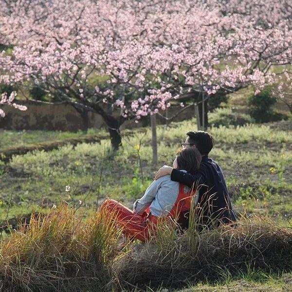 宏村在哪里，安徽宏村在哪里（宏村、西递等旅游景区恢复开放）