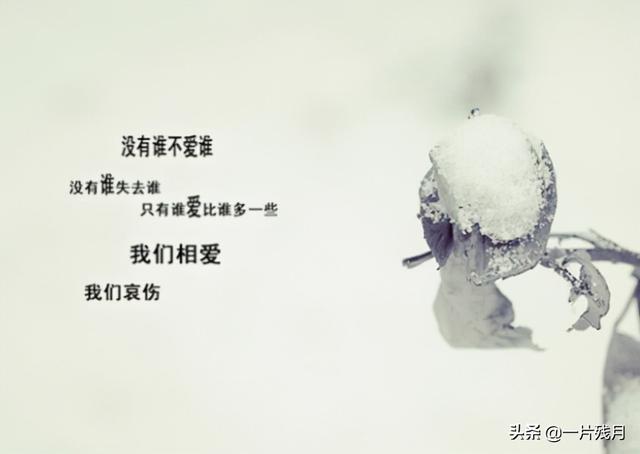 经典带文字图片大全   时光不染，经典带文字图片大全唯美（时光不染）