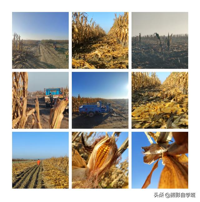 通过美图秀秀简单实现制作好看的9宫格图片，九宫格图片怎么拼（只需4步，这么发朋友圈真好看）