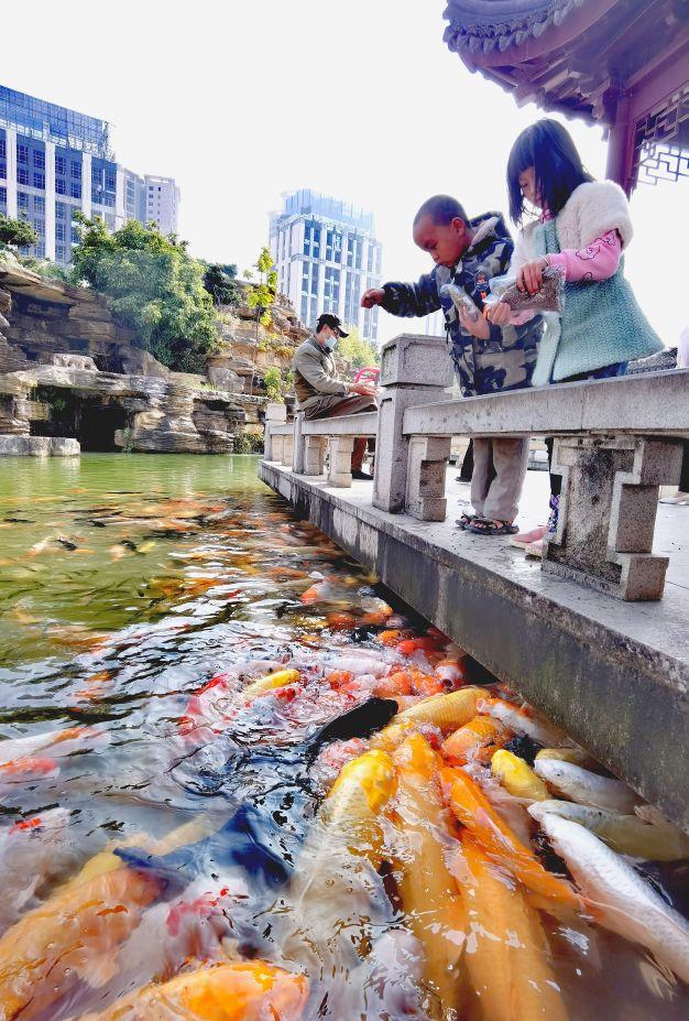 云南弥勒旅游攻略，云南弥勒旅游攻略必（自驾云南——弥勒攻略之湖泉生态园慢病疗养圣地）
