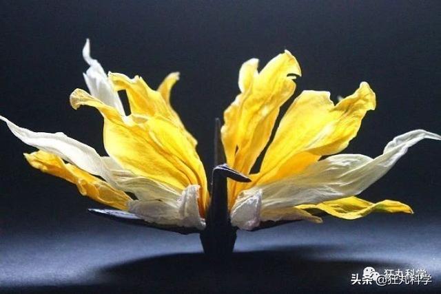 如何做一个千纸鹤，怎样才能做千纸鹤（一千天叠出1000种纸鹤）
