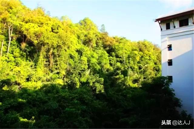 沙巴在哪个国家天气，巴沙是哪个国家的现在温度多少（冷得瑟瑟发抖？来这里晒太阳）