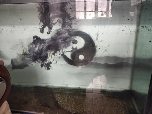 冷水观赏鱼养殖方法和注意事项，常见几种冷水观赏鱼的饲养水位和饲养密度