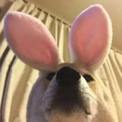 吊炸天搞笑的群名，搞笑群名能笑死人的（逗比群昵称搞笑沙雕-可爱点）