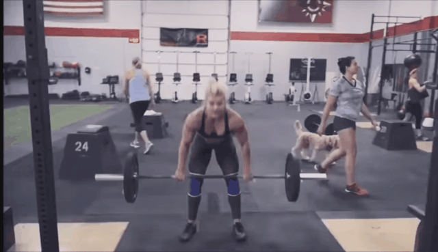 漆黑的魅影铁哑铃配招，漆黑的魅影5.0铁哑铃配招（瘦身成功的姜素拉证明给你看）