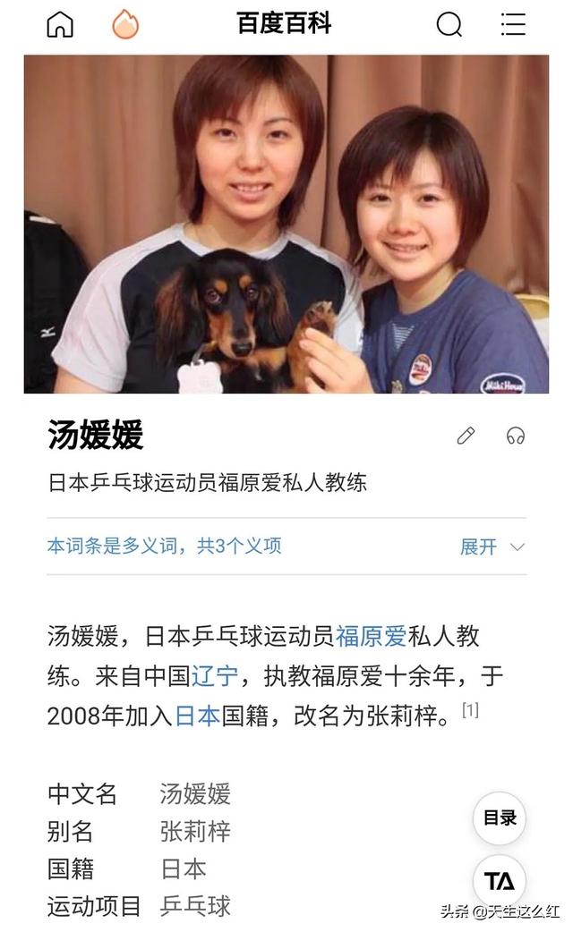 福原爱加入中国国籍，福原爱个人简历（我们都被日本人福原爱的营销骗到了吗）