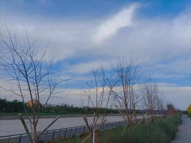 语文阅读答题技巧，语文阅读理解答题技巧（作文阅读理解的技巧和方法）