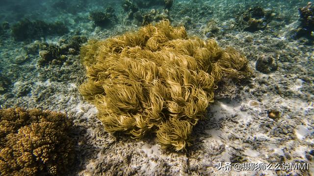 梦幻天堂游戏手机版下载，梦幻天堂经营手游官网最新版下载安装安卓版appv45.0.2（我才明白什么叫做梦幻天堂）