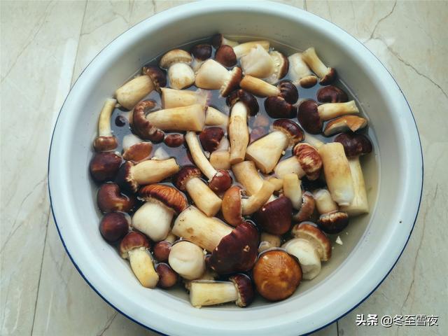 赤松茸怎么吃，清香可口、味道鲜美