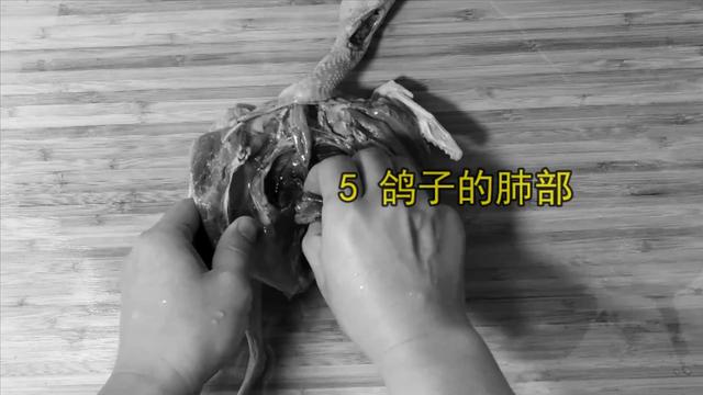 鸽子喜欢吃什么，家养的鸽子吃什么（23年一级大厨专业详细讲解）