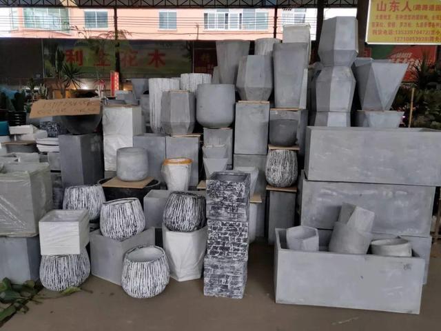 荷花最好看的品种是什么，这花最好看、最好养