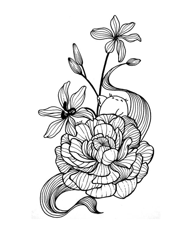 初学画画如何入门，画画入门初学技巧（好看的入门简笔画）