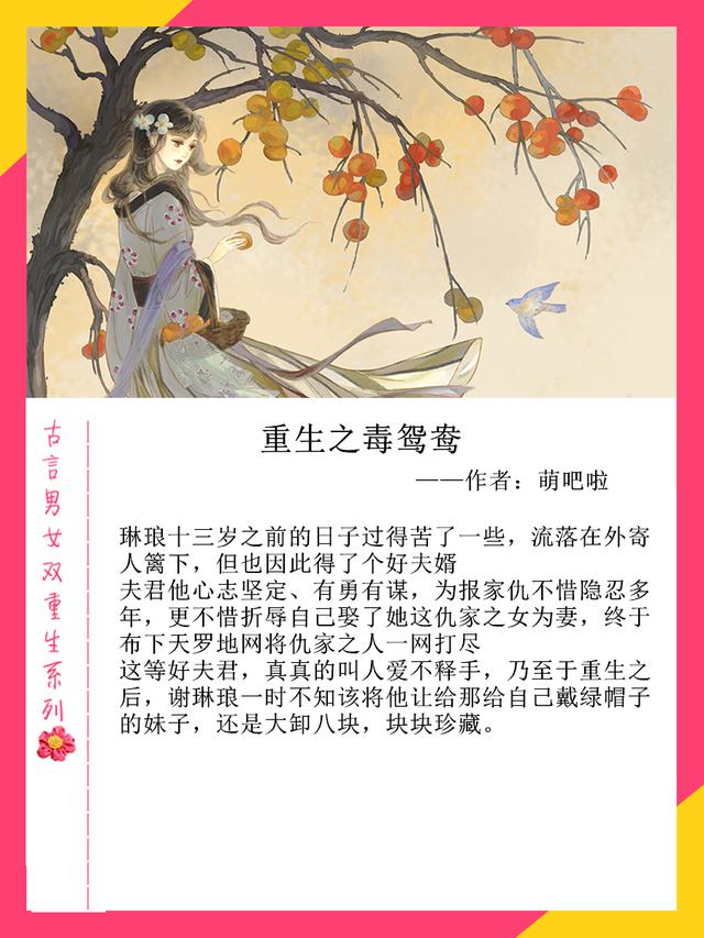 重生之娱乐才子，有没有重生之后做才子的小说（强推男女双重生古言：前世不修）