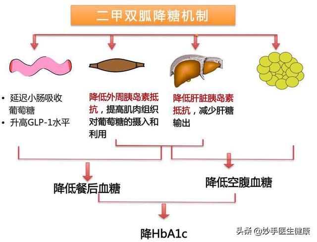 降糖药口服,口服降糖药有哪些(常用的10种降糖药)