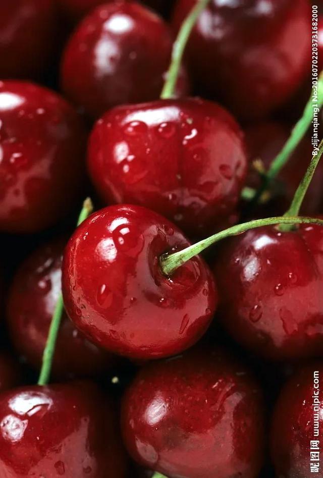 什么什么的故事600字作文，以什么故事作文600字（照片里的故事）