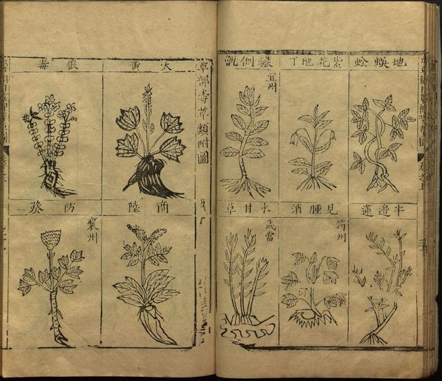 本草纲目全书带图，李时珍本草纲目全书（李时珍著《本草纲目》附图卷）