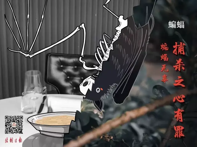 牛蛙属于海鲜吗，牛蛙算海鲜吗（这份野生动物名录仔细看一下）