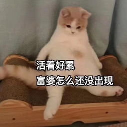 “富婆快乐球”是什么梗，“富婆快乐球”（今天已经见到王阿姨了）