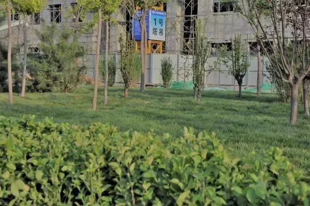 天津农学院是几本，天津农业学院是几本的（天津市普通高等院校）