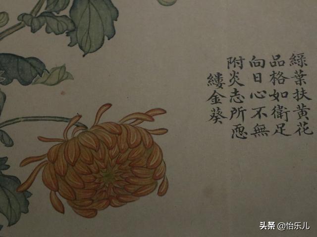 葩的读音（葩怎么读，葩是什么意思（金佛座、搓粉妆、绶带紫、鹤头丹）