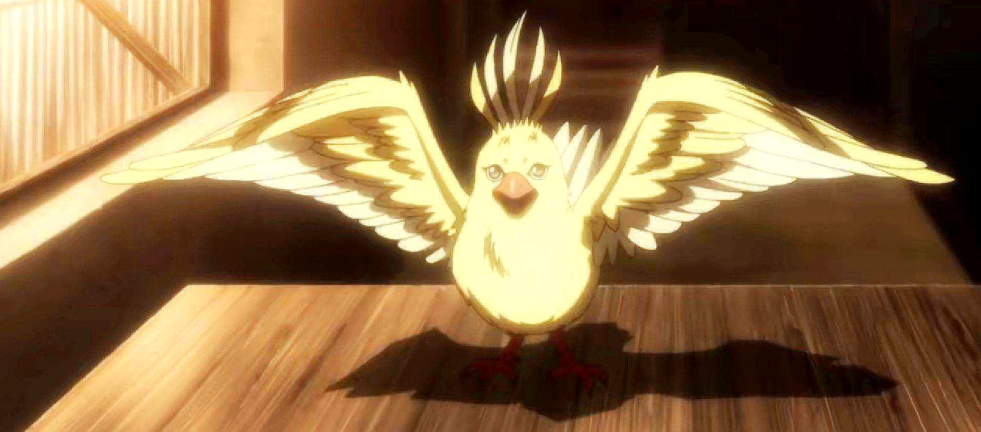 「夏猫说」百妖谱漱金鸟篇,朱小宝是否在用孝心掩盖自己的贪心?