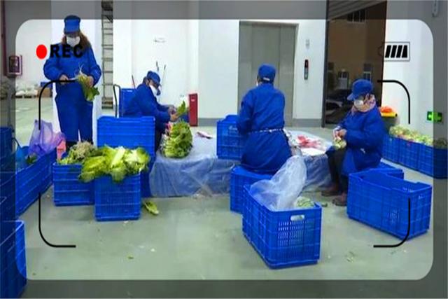 投资小的好项目，适合年轻人创业项目投资小（还有哪些投资不大的创业项目可以做）