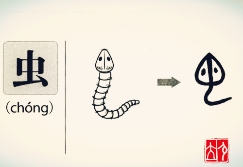 合作英文翻译，合作的英文单词是什么（看穿单词之后原来单词cooperation这么好记）