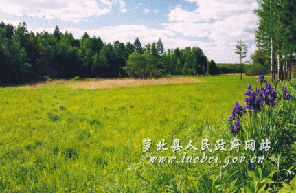 黑龙江省四大穷县，黑龙江省四大穷市（黑龙江省萝北县）