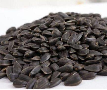 怎么查询鸽子的成绩，怎么查找鸽子的成绩（学习强豪养鸽秘诀）