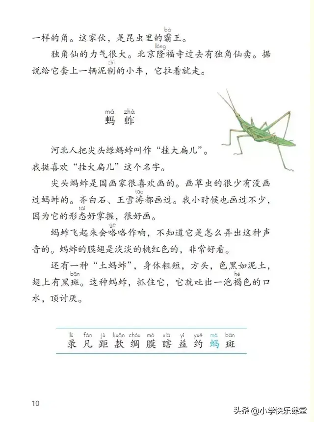 什么的硬翅，什么的硬翅？填四个字。（小学部编三年级语文下第4课《昆虫备忘录》图文+知识点+同步练习）
