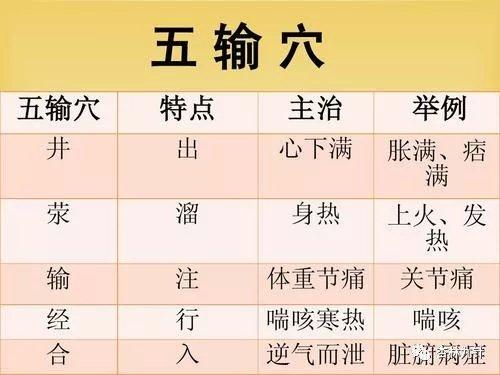 支沟的准确位置图片，支沟的准确位置图片及功效（经络中最好用的五输穴<详解>）