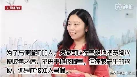 猫砂属于什么垃圾，猫砂盆是属于什么垃圾（垃圾分类马上要推广到全国了）