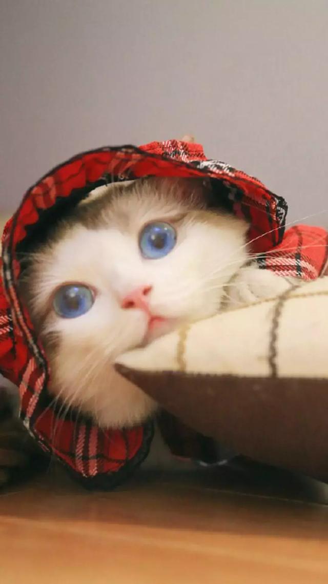 喝水时间表壁纸,喝水多多怎样开启仅在手表提醒(那你已经喜欢70%的我了) 喝水时间表壁纸,喝水多多怎样开启仅在手表提醒(那你已经喜欢70%的我了)