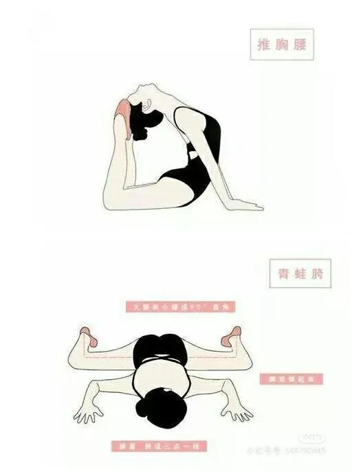 练舞蹈要练哪些基本功，练舞蹈要练哪些基本功视频（最全舞蹈基本功练习动作合集）