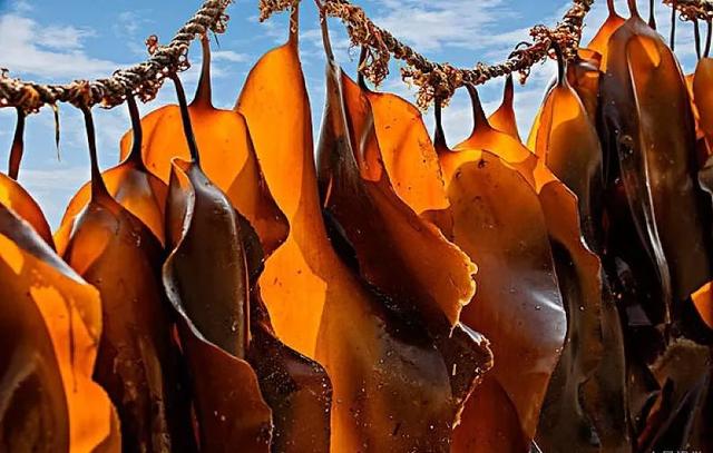 昆布酱油与普通酱油的区别，昆布酱油和黑豆酱油（推荐10款低盐酱油）