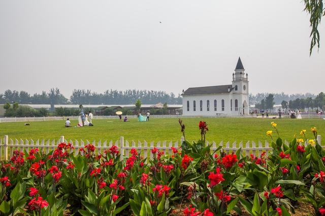 北京蓝调薰衣草庄园，北京薰衣草庄园（北京的蓝调薰衣草庄园就能狠狠浪漫一把）